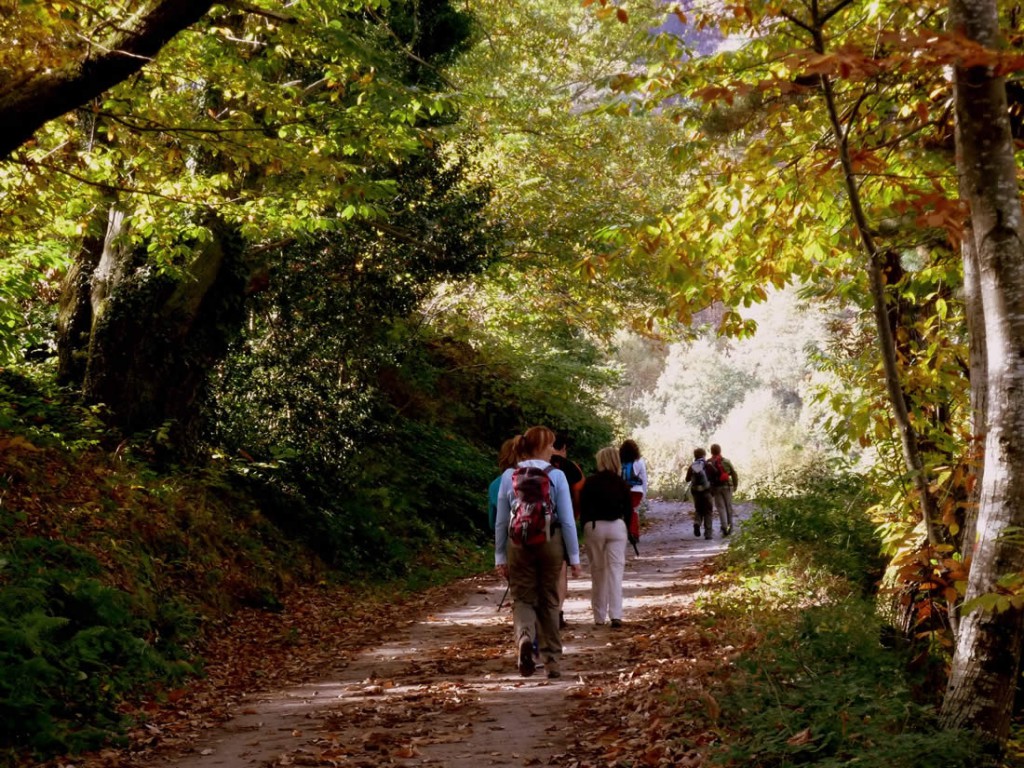 Paseo por Muniellos